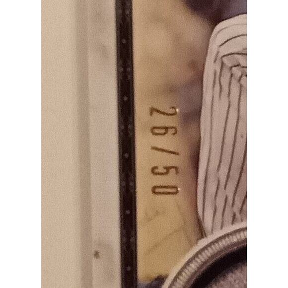 2018 Museum Collection Meaningful Material Relics 26/50 Dellin Betances Patch - Picture 3 of 6